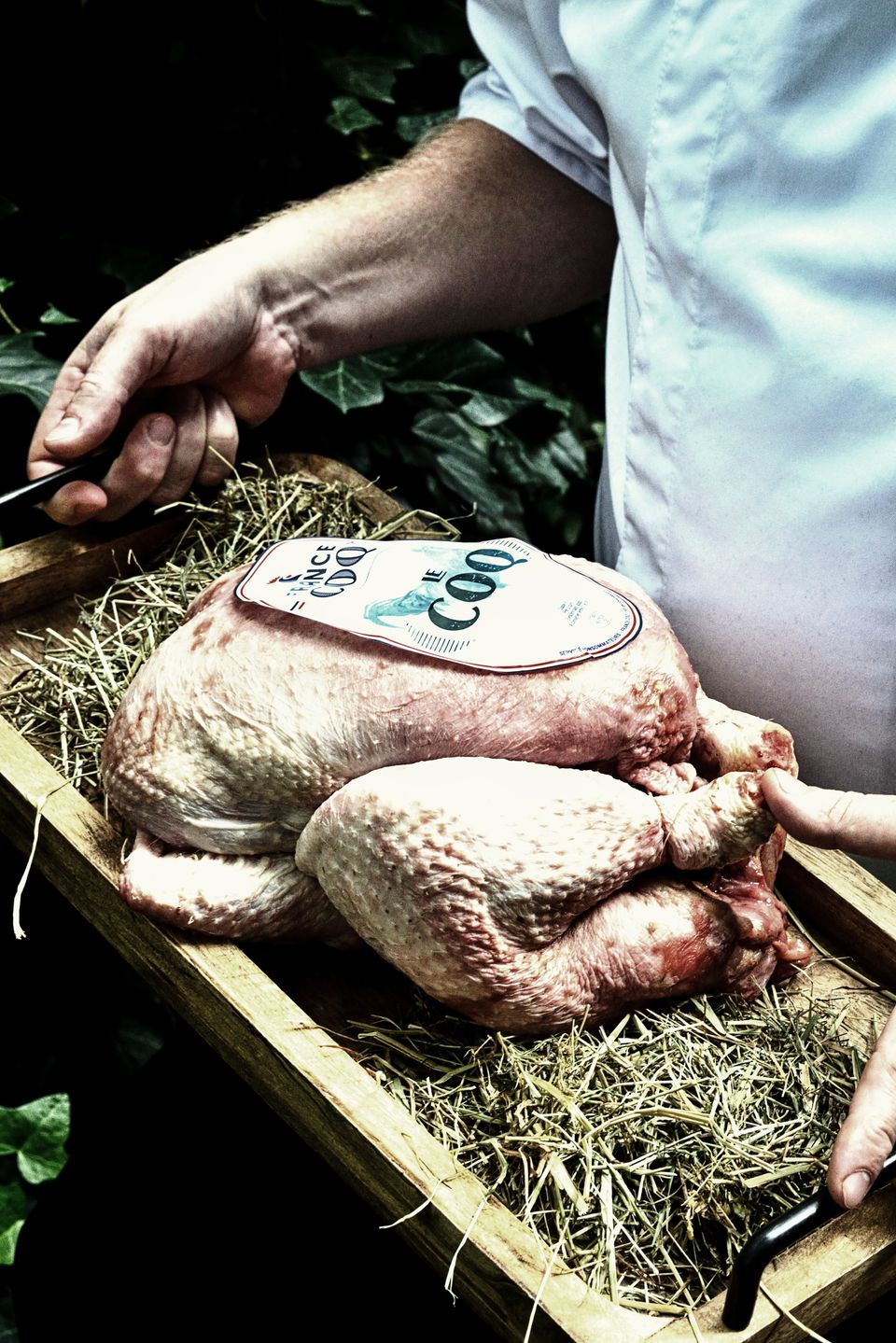 Galerie Garden s Nejkr sn j Zahradn Restaurace V Praze